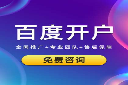 百度SEM推广策略：成功案例解析